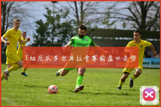 E组厄瓜多尔库拉索赛前盘口走势