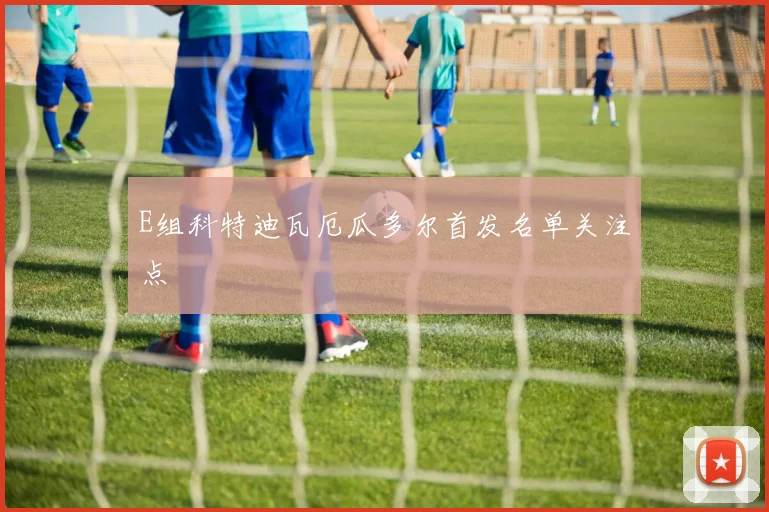 E组科特迪瓦厄瓜多尔首发名单关注点