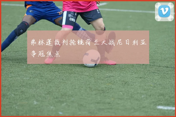 弗林蓬裁判抢镜荷兰大战尼日利亚争冠焦点