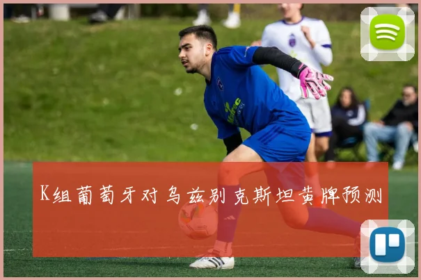K组葡萄牙对乌兹别克斯坦黄牌预测