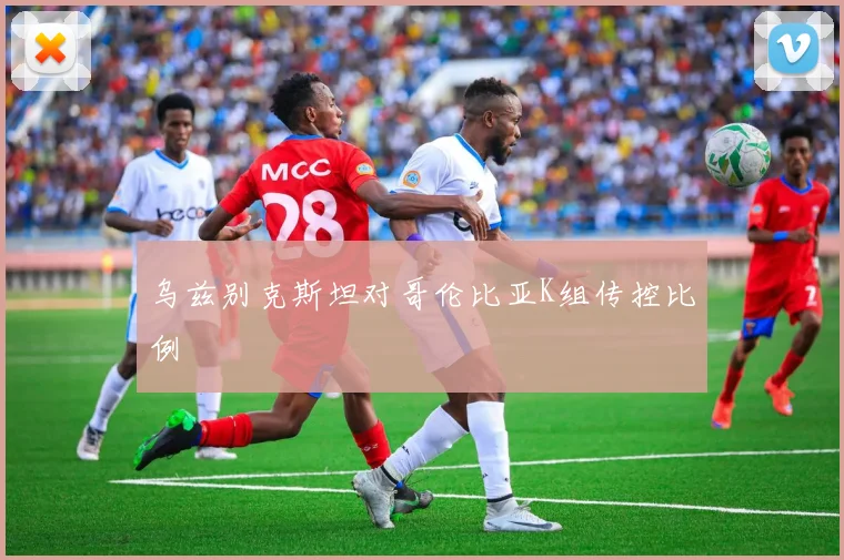 乌兹别克斯坦对哥伦比亚K组传控比例