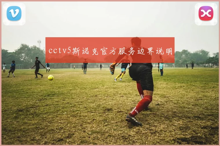 cctv5斯诺克官方服务边界说明